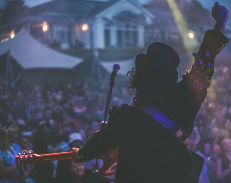 Silhouette of a performer in a hat with a raised fist, facing a festival crowd at Solihull