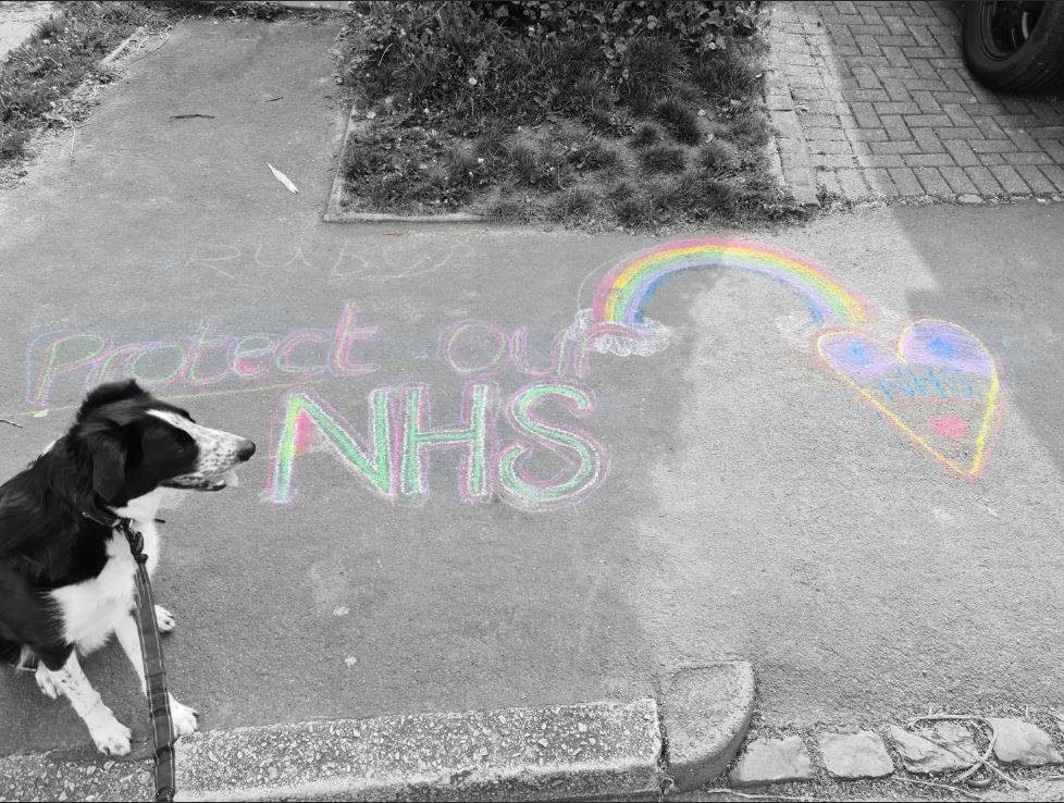 A collie sits beside a chalk rainbow reading Protect Our NHS on the pavement, Birmingham lockdown 2020