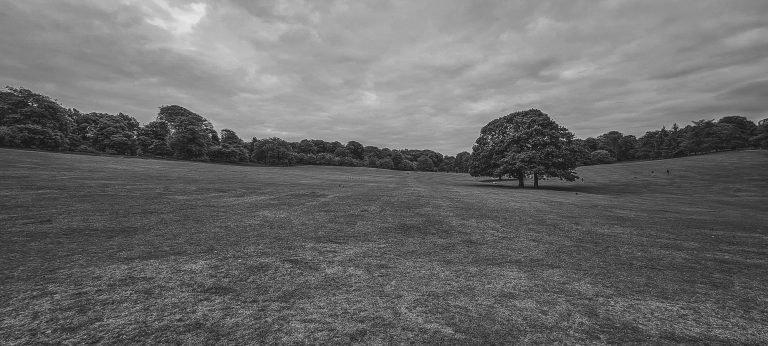 Black and white photograph of empty open parkland under grey skies, Birmingham lockdown 2020